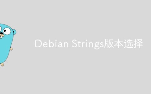 Debian Strings版本选择