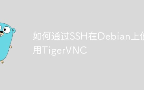 如何通过SSH在Debian上使用TigerVNC