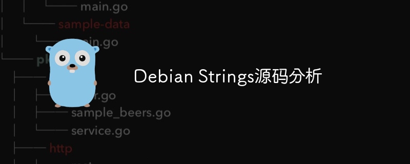 debian strings源码分析