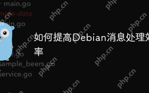 如何提高Debian消息处理效率