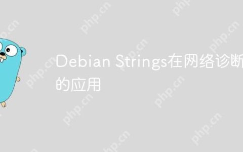 Debian Strings在网络诊断中的应用