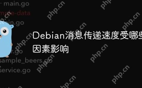 Debian消息传递速度受哪些因素影响