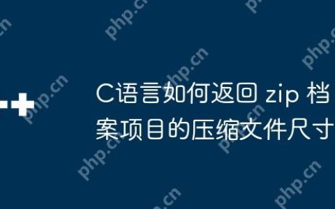 C语言如何返回 zip 档案项目的压缩文件尺寸