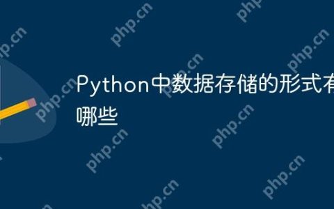 Python中数据存储的形式有哪些