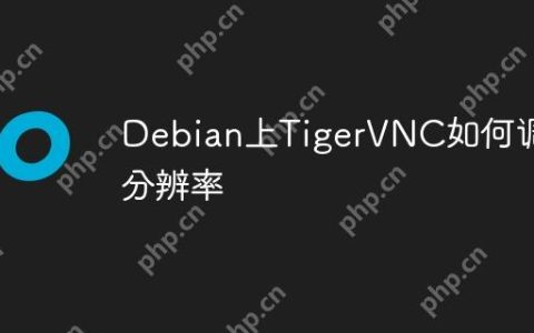 Debian上TigerVNC如何调整分辨率