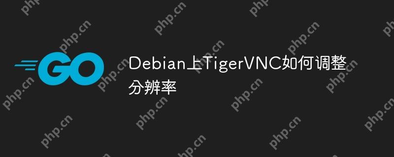 Debian上TigerVNC如何调整分辨率