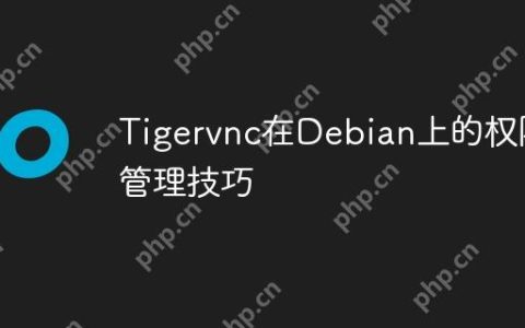 Tigervnc在Debian上的权限管理技巧
