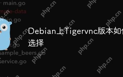 Debian上Tigervnc版本如何选择