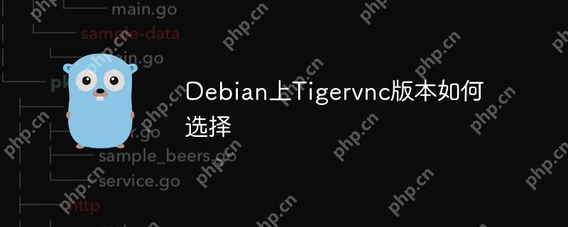Debian上Tigervnc版本如何选择