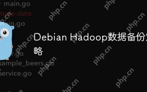 Debian Hadoop数据备份策略