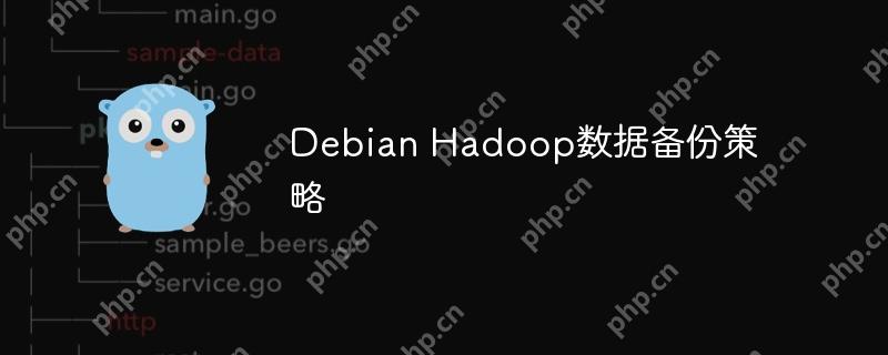Debian Hadoop数据备份策略