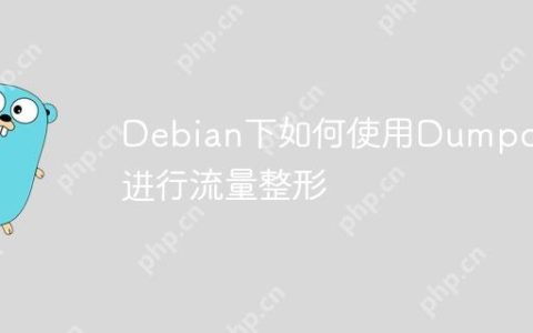 Debian下如何使用Dumpcap进行流量整形