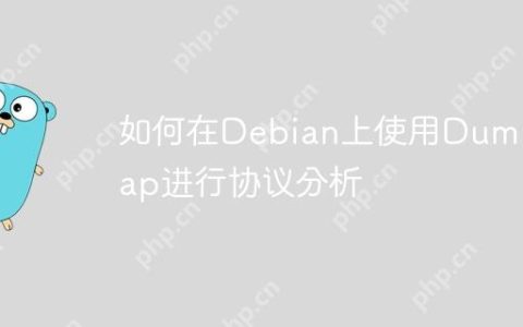 如何在Debian上使用Dumpcap进行协议分析