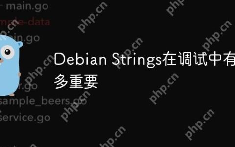 Debian Strings在调试中有多重要