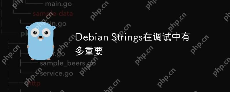 Debian Strings在调试中有多重要