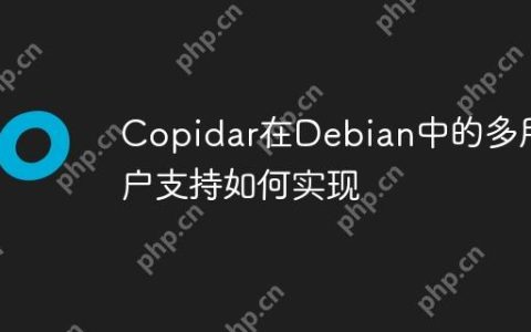 Copidar在Debian中的多用户支持如何实现