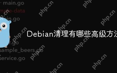 Debian清理有哪些高级方法