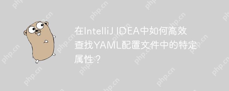 在IntelliJ IDEA中如何高效查找YAML配置文件中的特定属性?