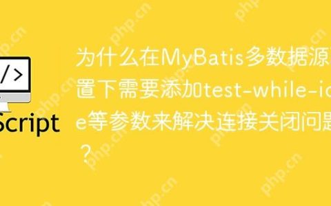为什么在MyBatis多数据源配置下需要添加test-while-idle等参数来解决连接关闭问题？