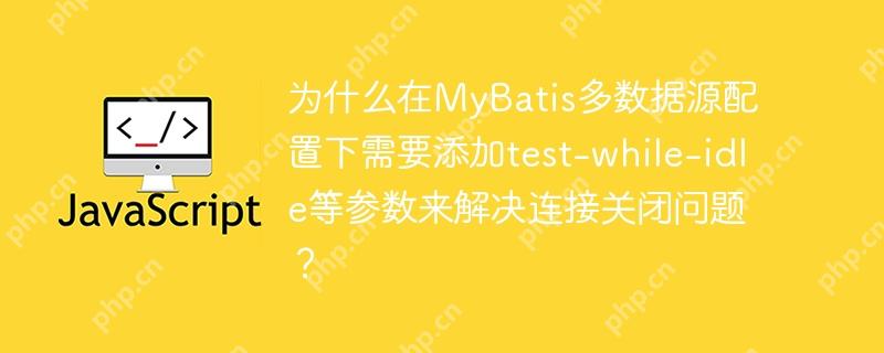 为什么在MyBatis多数据源配置下需要添加test-while-idle等参数来解决连接关闭问题?