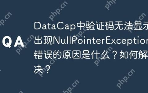 DataCap中验证码无法显示并出现NullPointerException错误的原因是什么？如何解决？