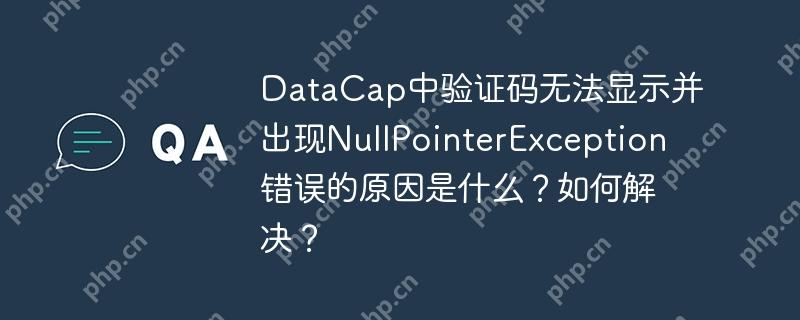 DataCap中验证码无法显示并出现NullPointerException错误的原因是什么?如何解决?