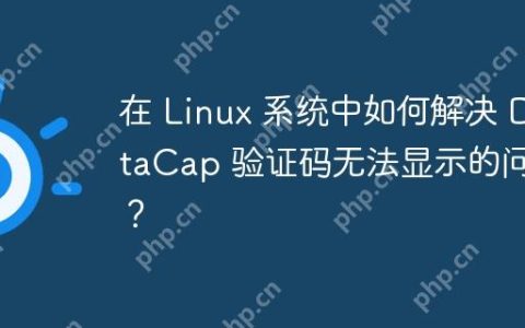 在 Linux 系统中如何解决 DataCap 验证码无法显示的问题？