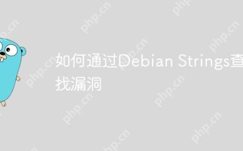 如何通过Debian Strings查找漏洞