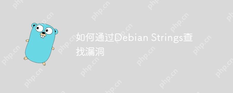 如何通过debian strings查找漏洞