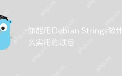 你能用Debian Strings做什么实用的项目