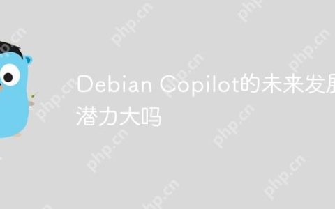 Debian Copilot的未来发展潜力大吗