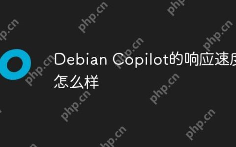 Debian Copilot的响应速度怎么样