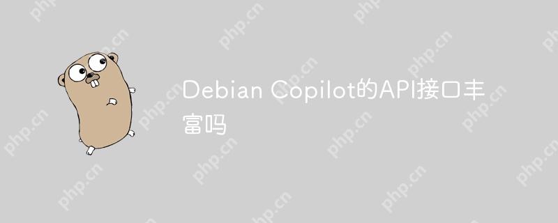 Debian Copilot的API接口丰富吗