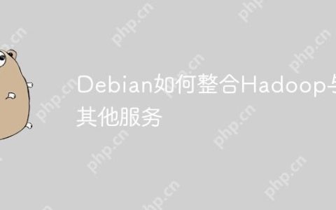 Debian如何整合Hadoop与其他服务