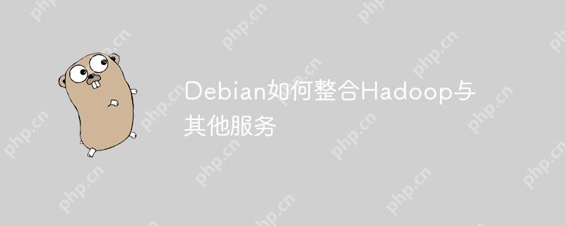 debian如何整合hadoop与其他服务