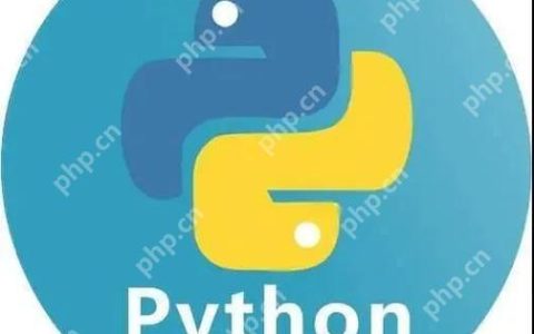 如何使用版本控制系统管理Python项目？