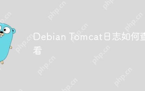 Debian Tomcat日志如何查看