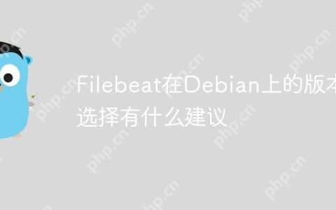Filebeat在Debian上的版本选择有什么建议