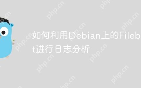 如何利用Debian上的Filebeat进行日志分析