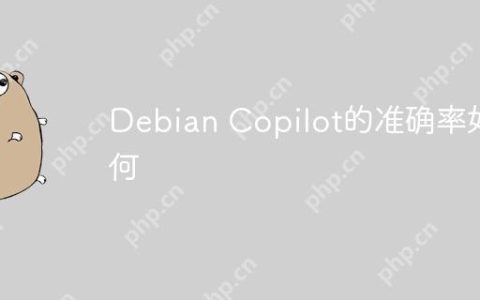 Debian Copilot的准确率如何