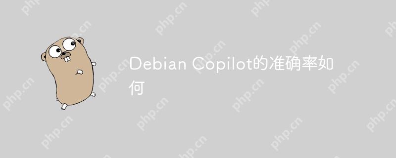 debian copilot的准确率如何