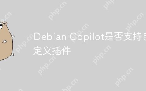 Debian Copilot是否支持自定义插件