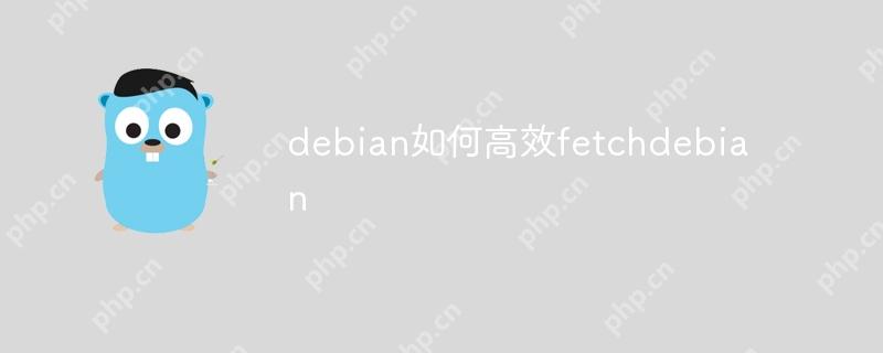 debian如何高效fetchdebian