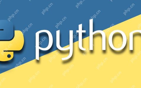 Python中如何实现享元模式？