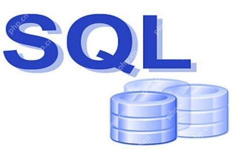 如何使用SQL工具进行数据库的性能监控和调优