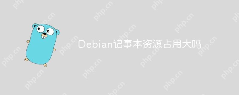 Debian记事本资源占用大吗