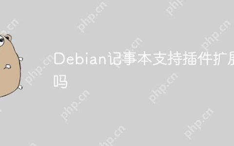Debian记事本支持插件扩展吗