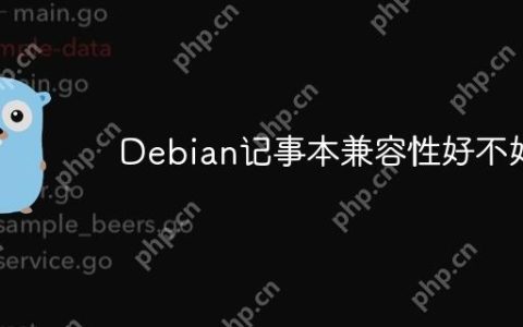 Debian记事本兼容性好不好