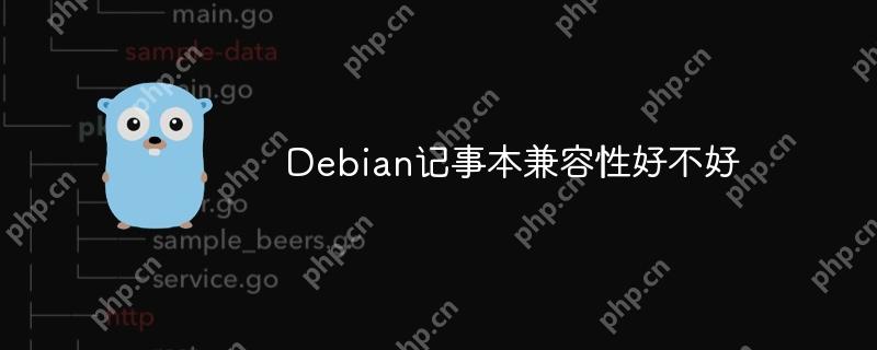 Debian记事本兼容性好不好