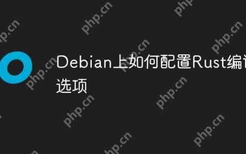 Debian上如何配置Rust编译选项